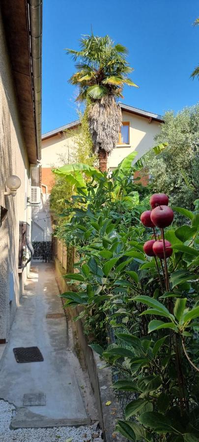 Studio Simone - Terrasse Et Jardin - Tv - Wifi Apartment Toulouse Exterior foto